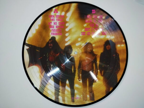 KISS LP Picture Disc You Wanted The Best You Got The Best - Image 2