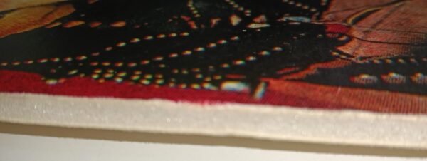 Kiss display on foam - Image 3